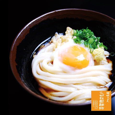 讃岐うどん お土産うどんセット12人前